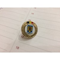 Insigna cu pin metalica  Steag si Stema Romania