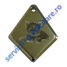 Pandantiv romb, 23x29mm, placat cu Nichel, 3-D, gravat